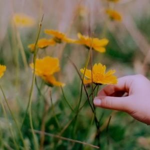 Meet your Posher, Meredith